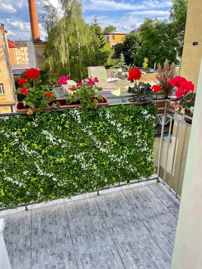 Pension Majovka Cheb Dış mekan fotoğraf
